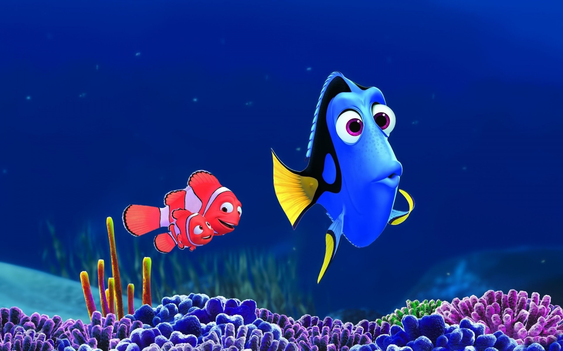 cartoons underwater coral fish aquarium reef anemone nature water aquatic animal ocean marine deep sea tropical diving swimming wildlife invertebrate color