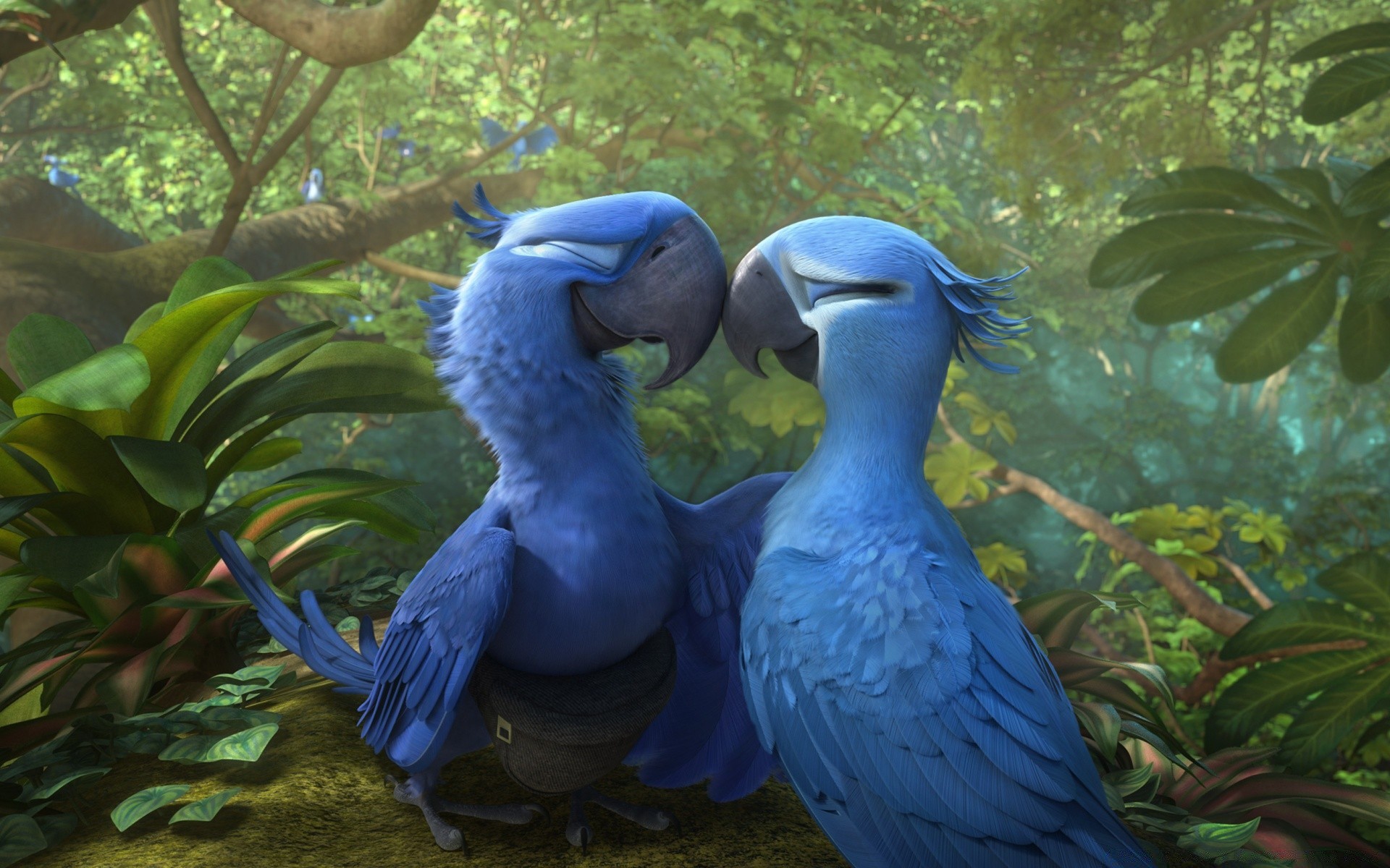 cartoons bird nature zoo wildlife color parrot water tropical animal