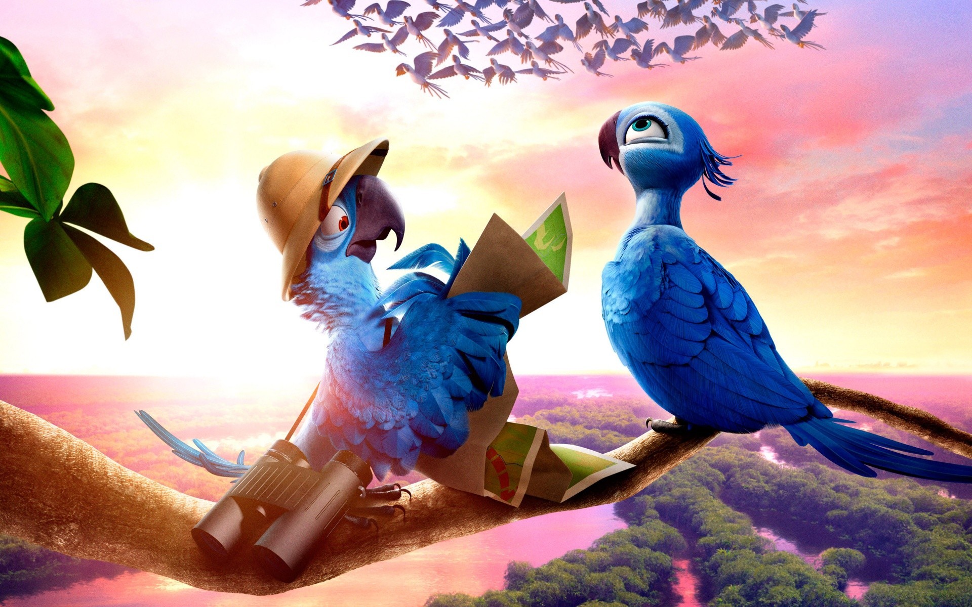dessins animés nature oiseau illustration