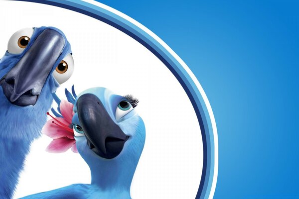 Divertida pareja de loros enamorados