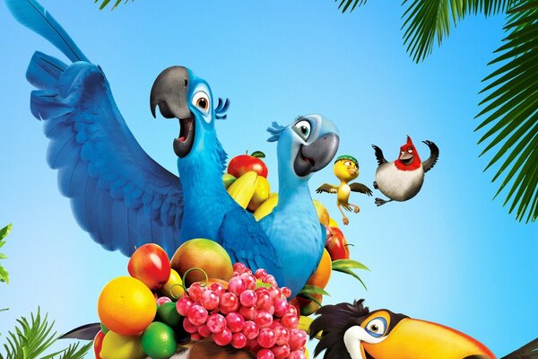 Dessin animé Rio Pro perroquet et ses amis oiseaux
