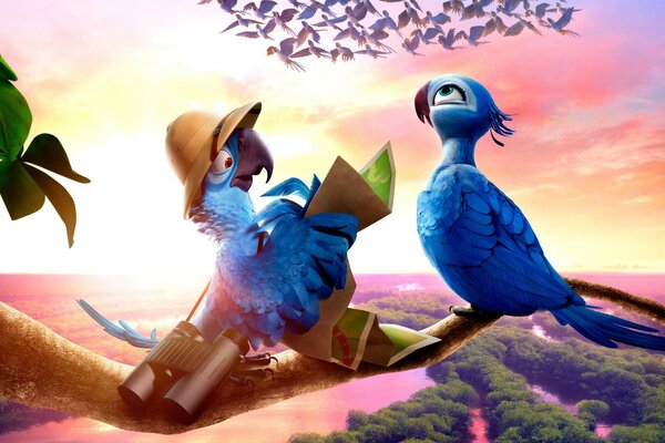 Un par de loros azules de dibujos animados