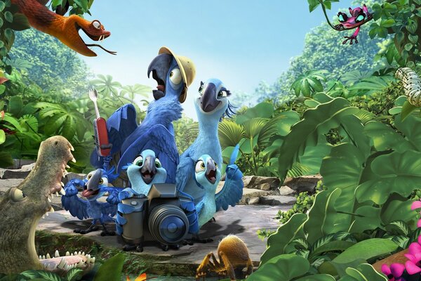 Parrots from the cartoon rio