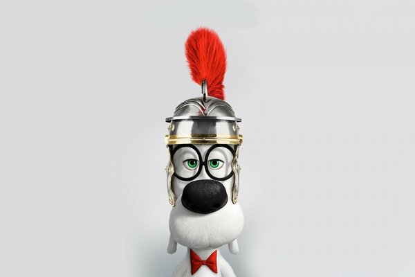 A white dog in a helmet with a red feather