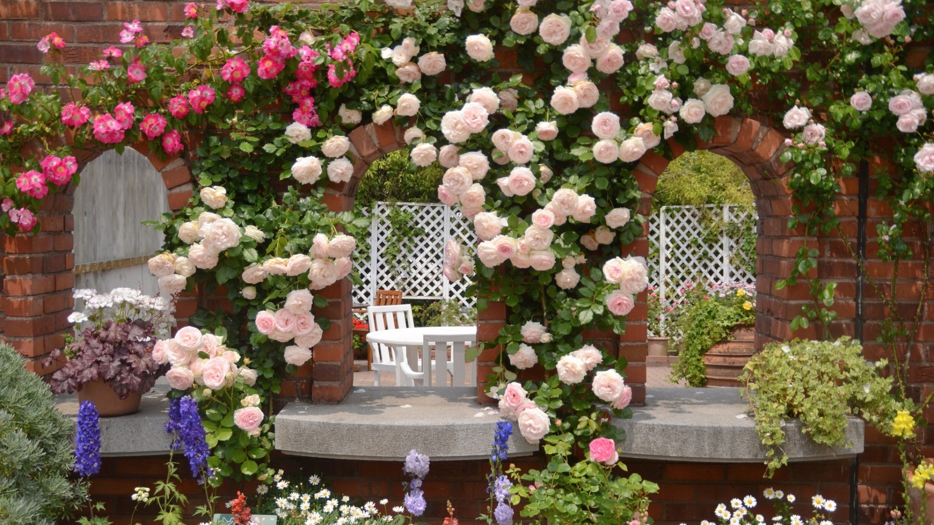 flowers flower garden flora rose flower arrangement shrub decoration geranium pot hydrangea patio planter ivy house architecture yard floral summer