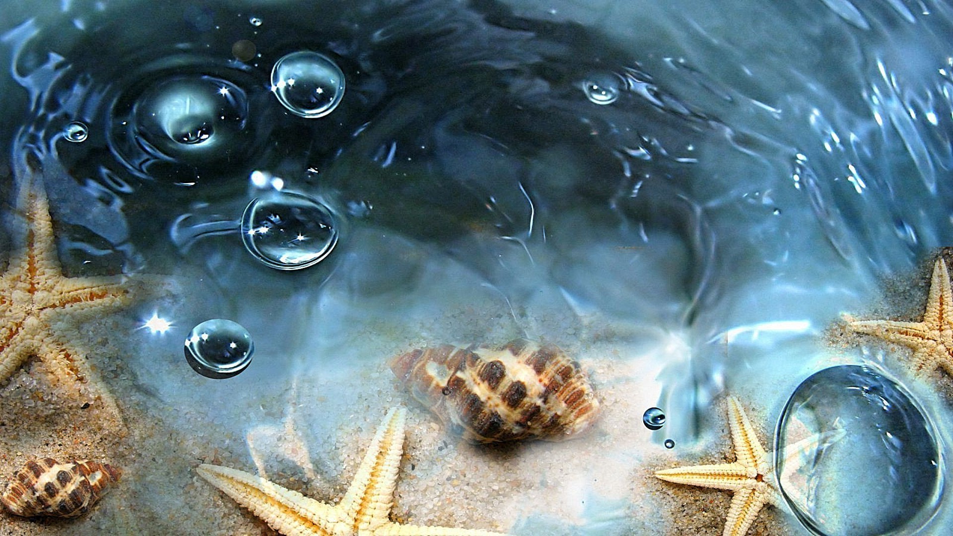 habitantes de los océanos y ríos agua bajo el agua escritorio mojado naturaleza peces burbuja mar océano