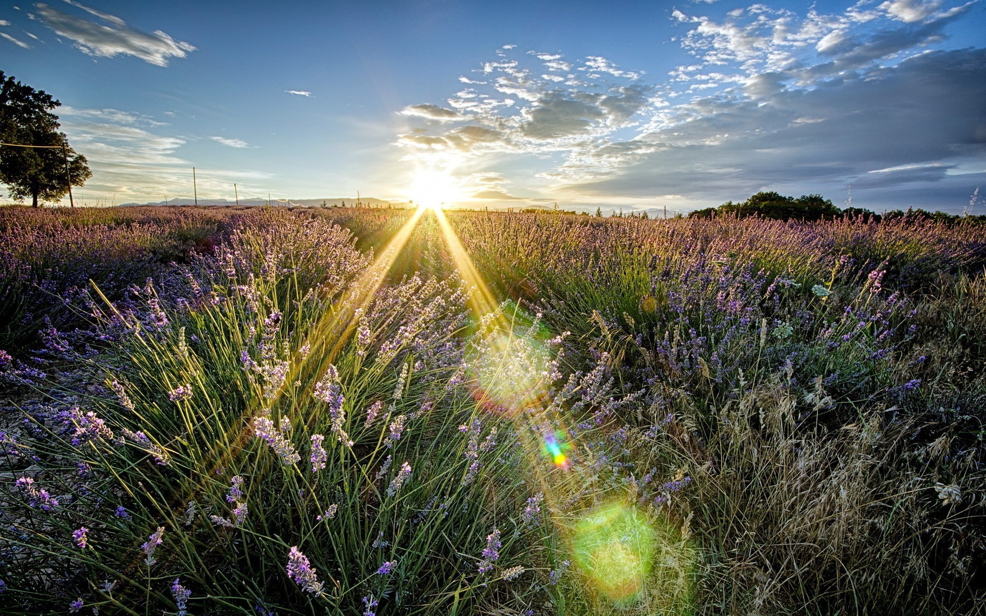 felder wiesen und täler natur landschaft feld gras sonne heuhaufen himmel des ländlichen sonnenuntergang landschaft im freien dämmerung blume sommer gutes wetter hell spektakel