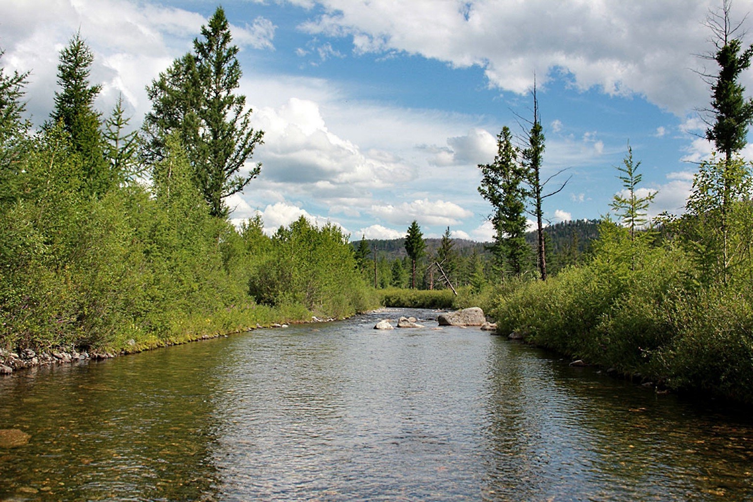 rivers ponds and streams water river lake landscape nature tree outdoors wood reflection sky summer travel scenic park