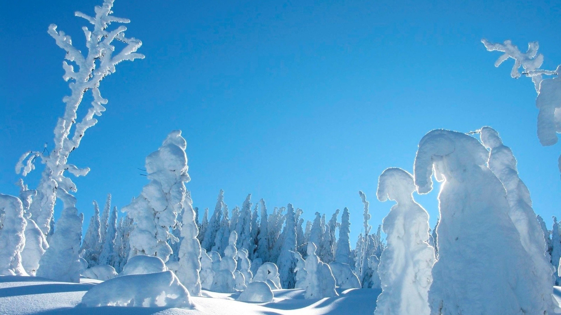 winter snow cold ice frost frozen frosty christmas nature mountain weather scenic wood outdoors