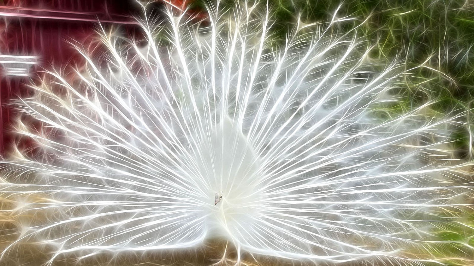 neon desktop nature abstract bright pattern