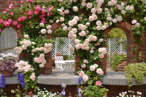 Relaxing in a blooming summer garden