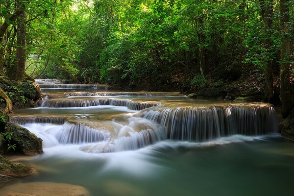 Cascata em uma floresta verde