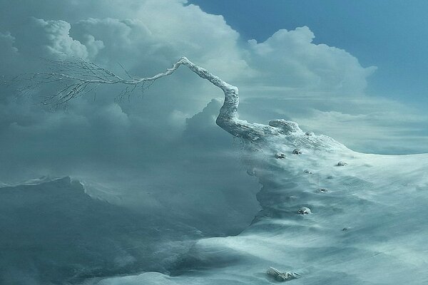 A withered tree on a snowy cliff