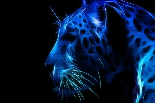 Bright abstract, predator graphics