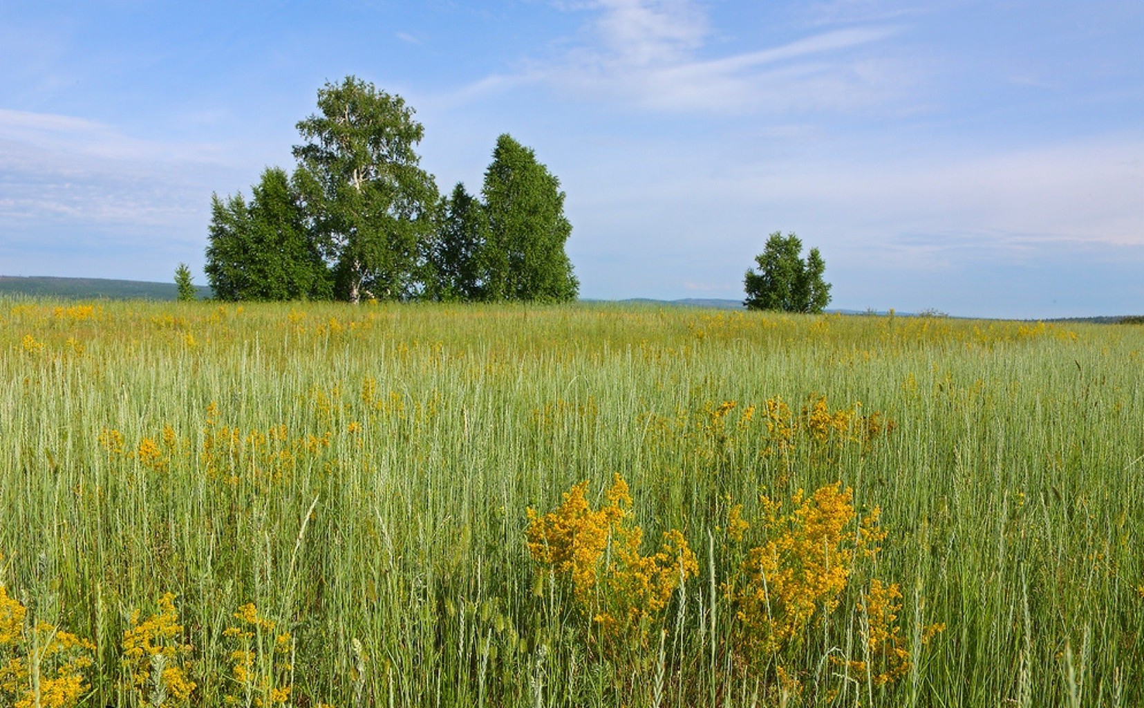 felder wiesen und täler im freien landschaft tageslicht natur des ländlichen raumes sommer weiden landschaft heuhaufen feld himmel weide gras