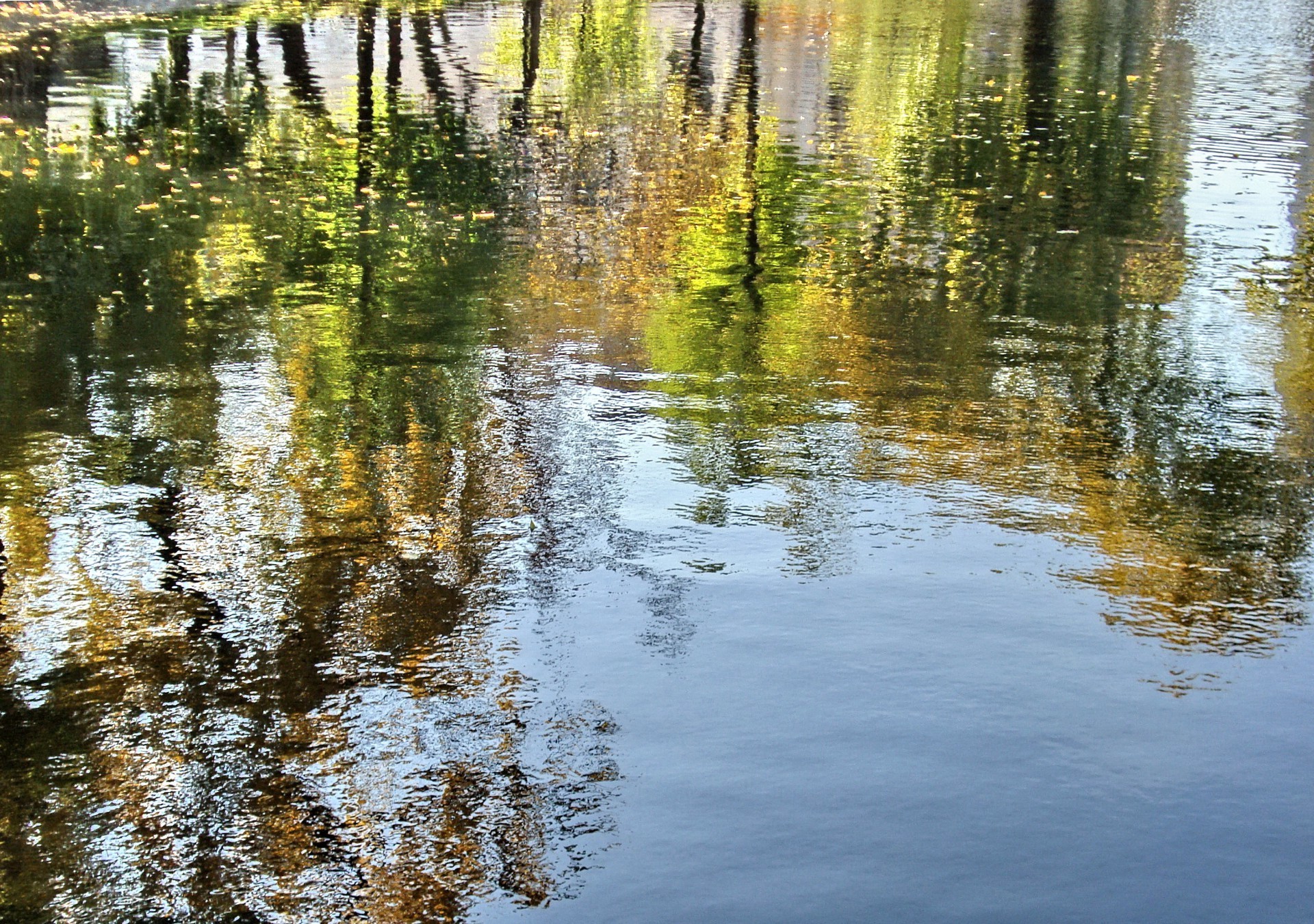 ríos estanques y arroyos estanques y arroyos agua reflexión naturaleza piscina río lago al aire libre madera paisaje sangre fría