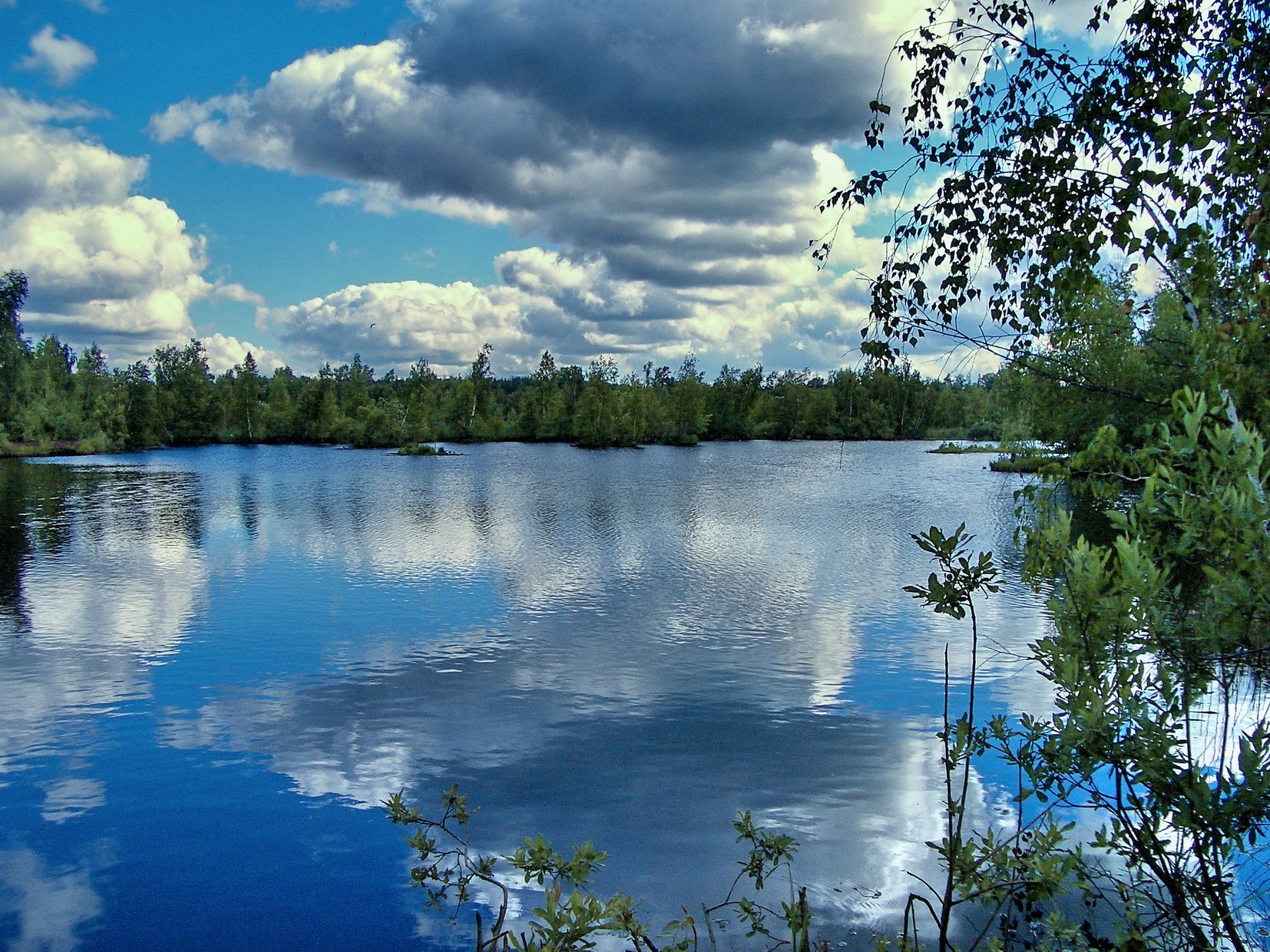 see wasser reflexion natur landschaft baum himmel im freien holz fluss sommer reisen gelassenheit