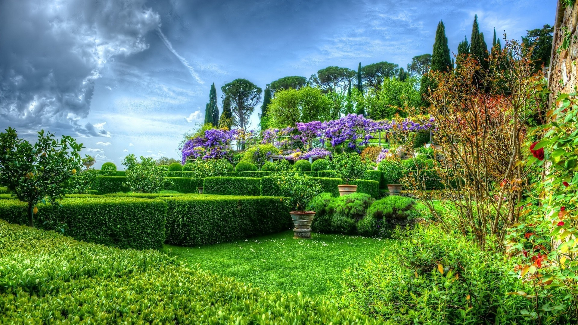 gardens garden lawn grass flower tree nature summer landscape flora park leaf outdoors scenic hayfield sky sight growth rural season