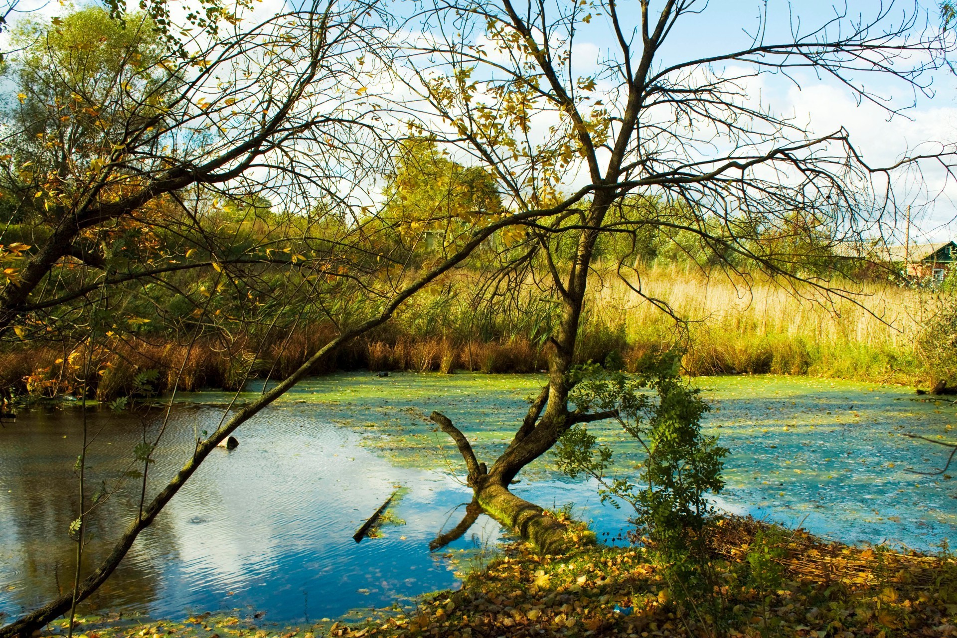 rivers ponds and streams tree water nature landscape wood fall lake season park reflection river leaf scenic outdoors scenery environment scene composure pool