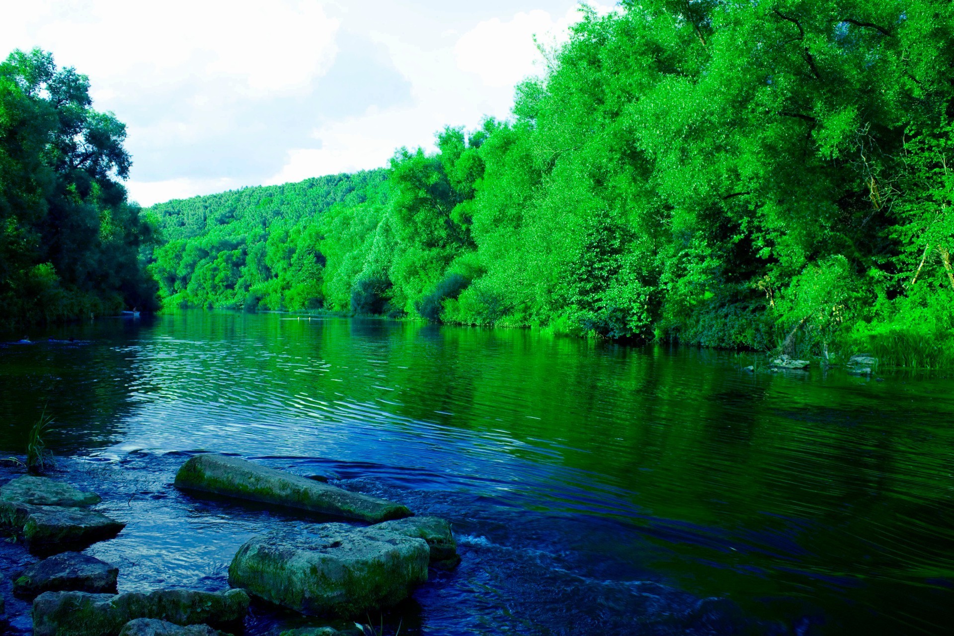 реки пруды и ручьи прудов и ручьев воды река природа пейзаж древесины дерево лето путешествия на открытом воздухе озеро лист отражение среды поток парк красивые