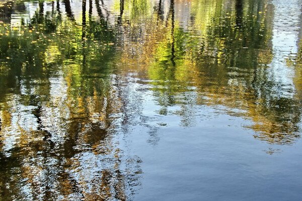 Teiche und Bäche spiegeln das Wasser des Flusses wider