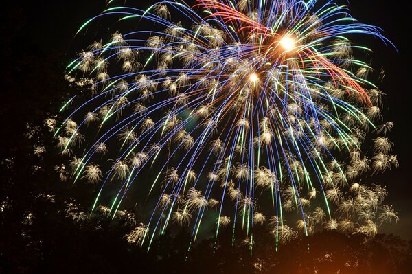 Los participantes de la fiesta del Festival de los fuegos artificiales