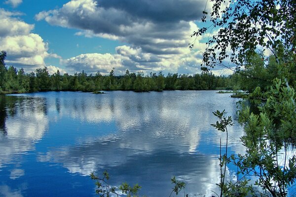 Nature landscape water reflection