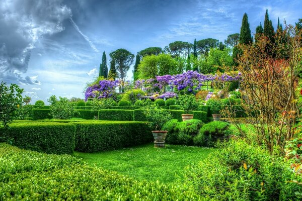 A magical garden with neatly trimmed trees