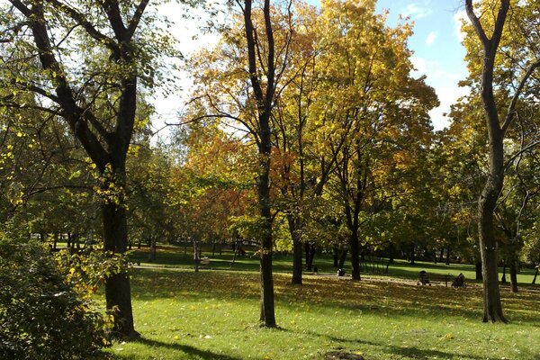 Herbstpark an einem warmen Tag