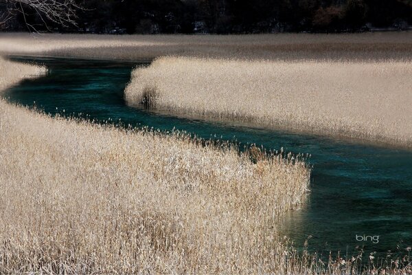 Schöner blauer Fluss auf einem Grasfeld