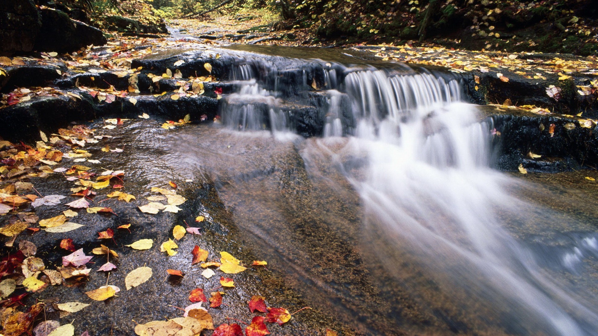 wasserfälle wasser herbst wasserfall fluss fluss natur im freien landschaft reisen fluss rock schrei blatt nass bewegung holz park