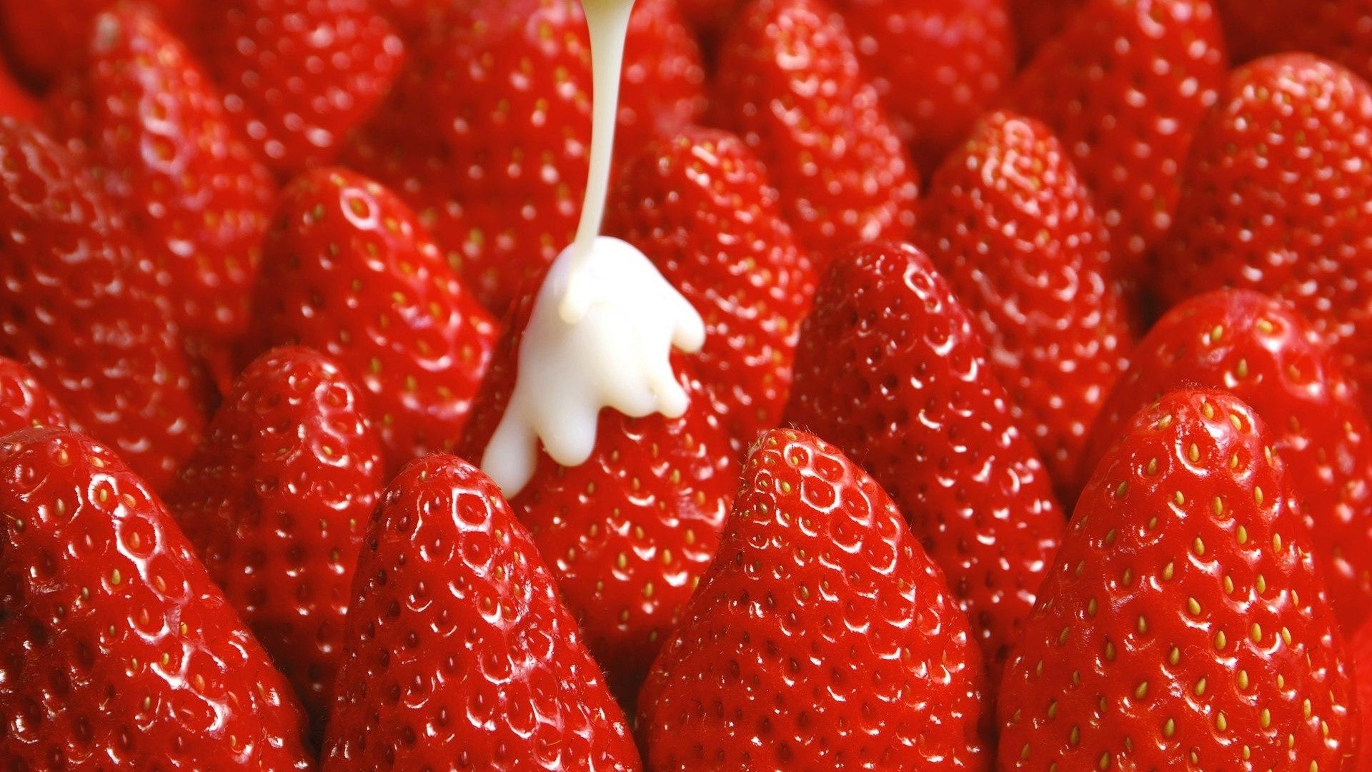 beeren erdbeere obst beere saftig süß essen lecker gebäck frische gesund lecker wachsen gesundheit erfrischung diät schließen essen sommer hell