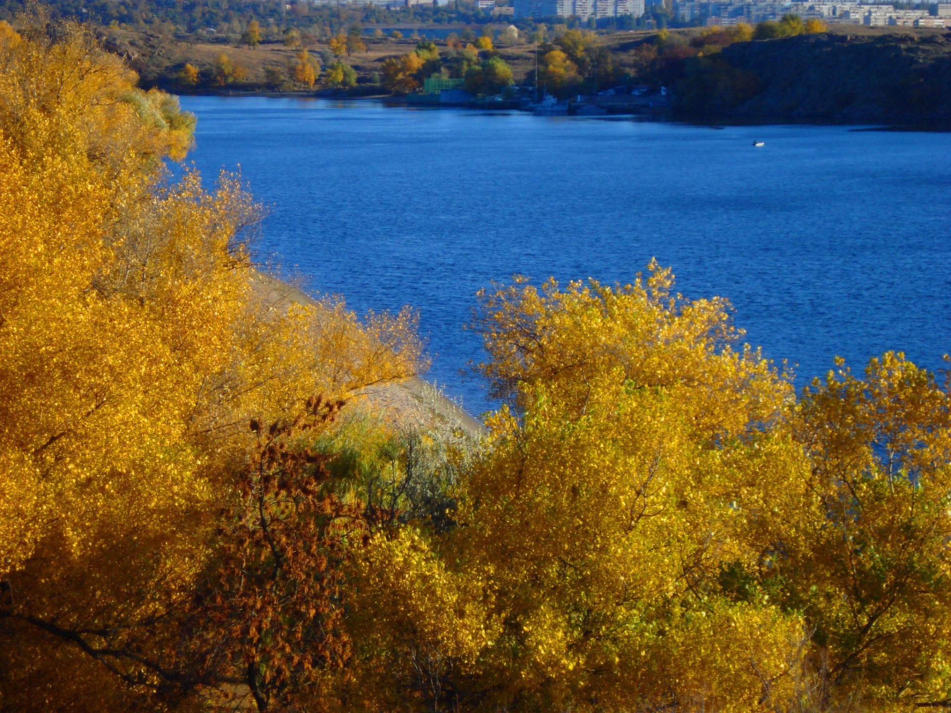 fiumi stagni e torrenti stagni e torrenti autunno paesaggio albero foglia natura acqua scenic legno lago luce del giorno stagione all aperto oro paesaggio parco