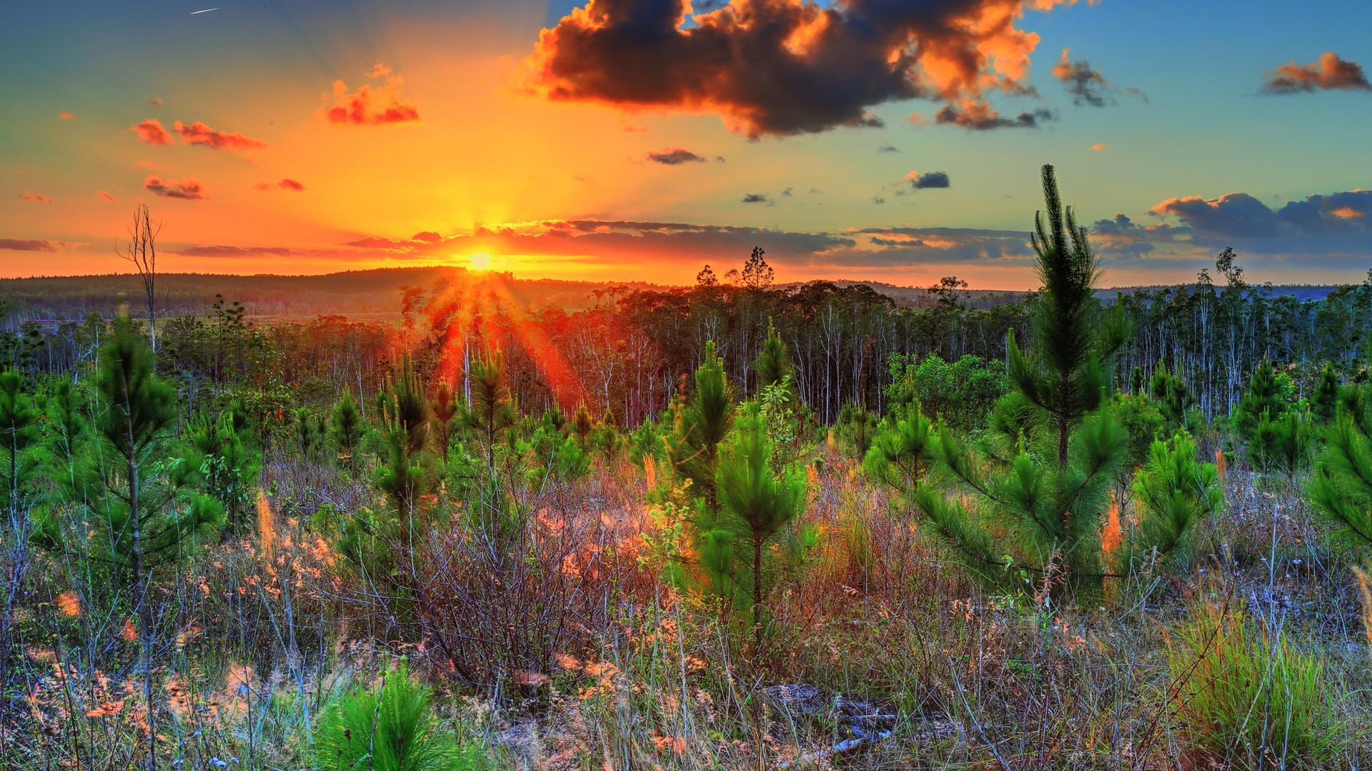 pôr do sol e amanhecer pôr do sol amanhecer paisagem natureza à noite crepúsculo céu sol ao ar livre água verão bom tempo cênica árvore brilhante grama viajar