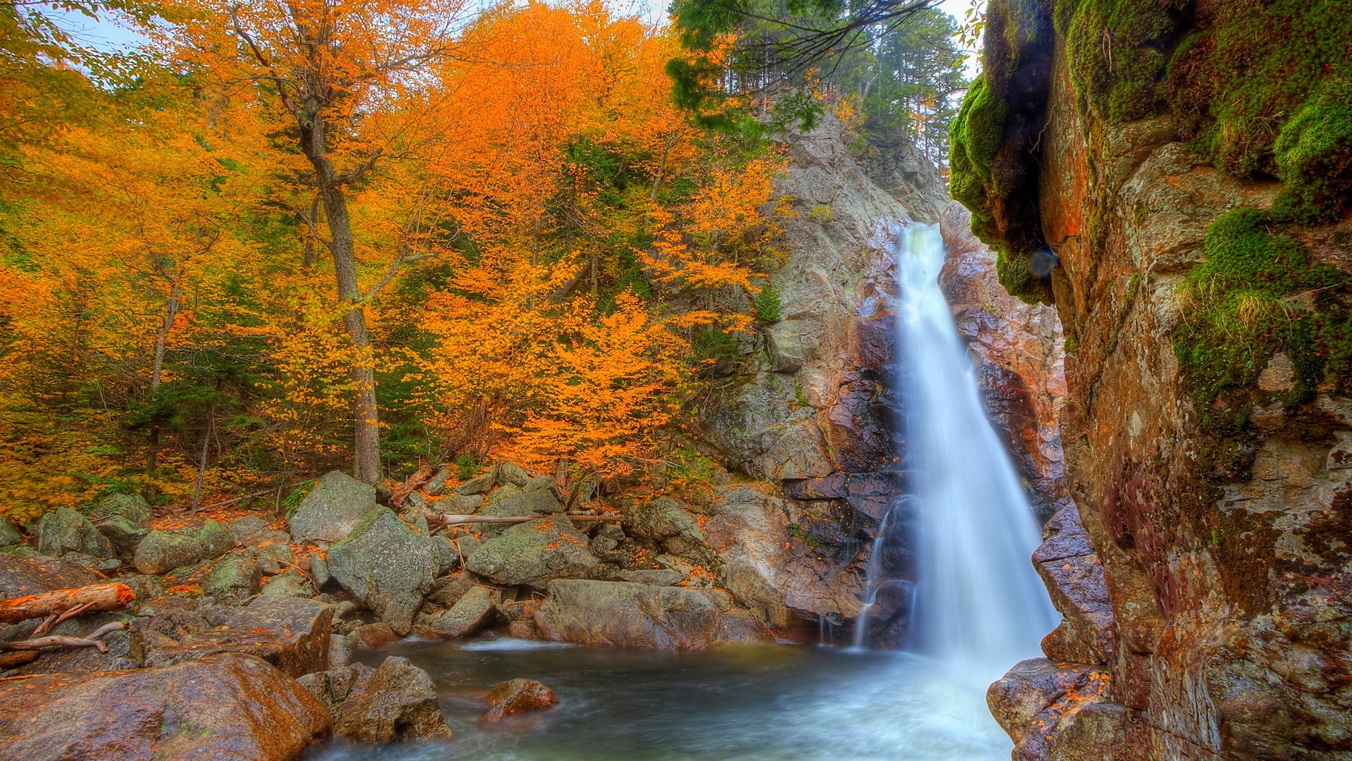 cascades automne cascade eau feuille bois ruisseau nature rivière à l extérieur paysage arbre cascade ruisseau - rapids rock scénique ruisseau parc voyage