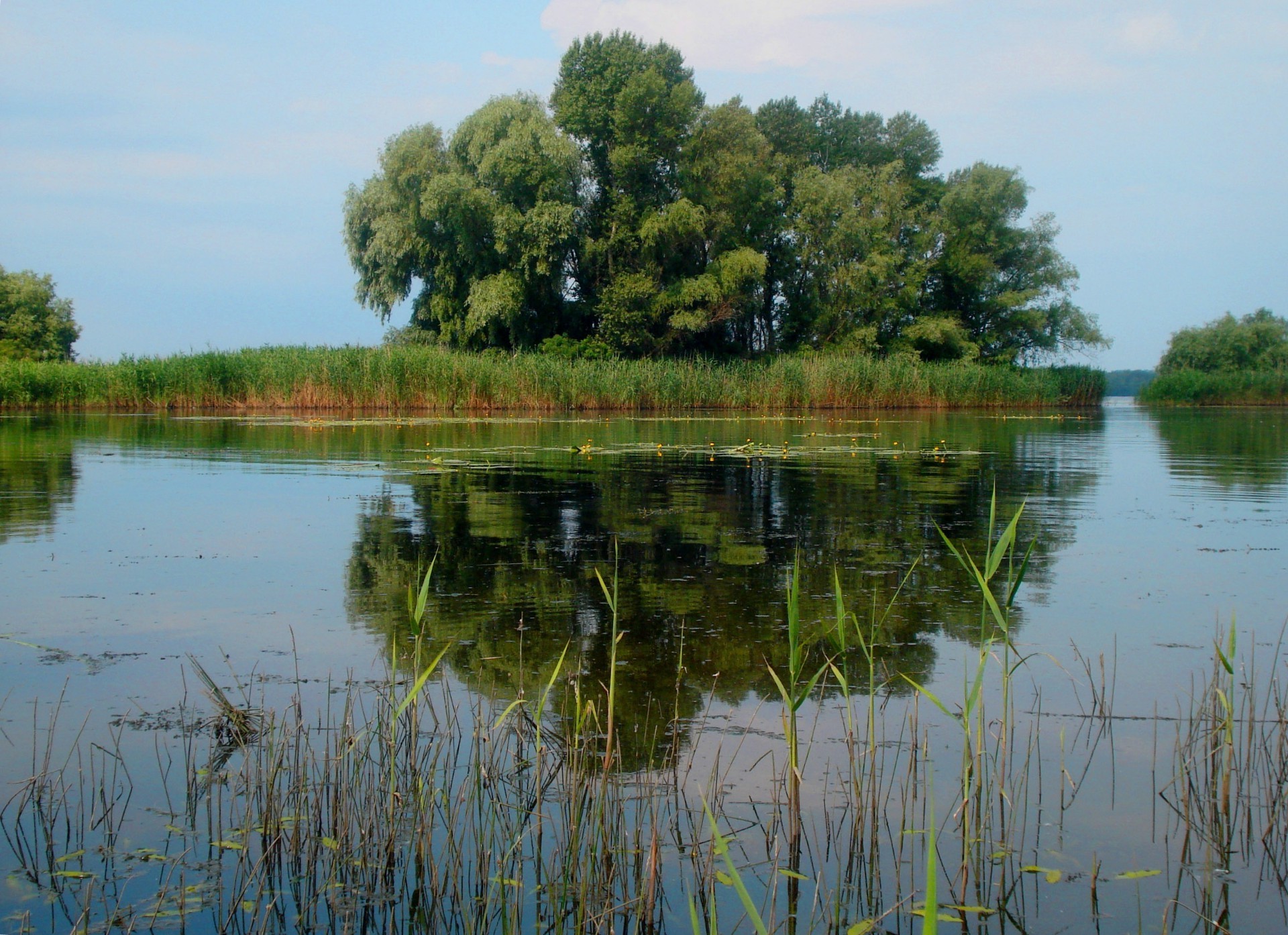 wyspy odbicie wody jezioro rzeka basen drzewo krajobraz kanał natura trzcina bagno lustro na zewnątrz niebo rzeka marsz trawa drewno