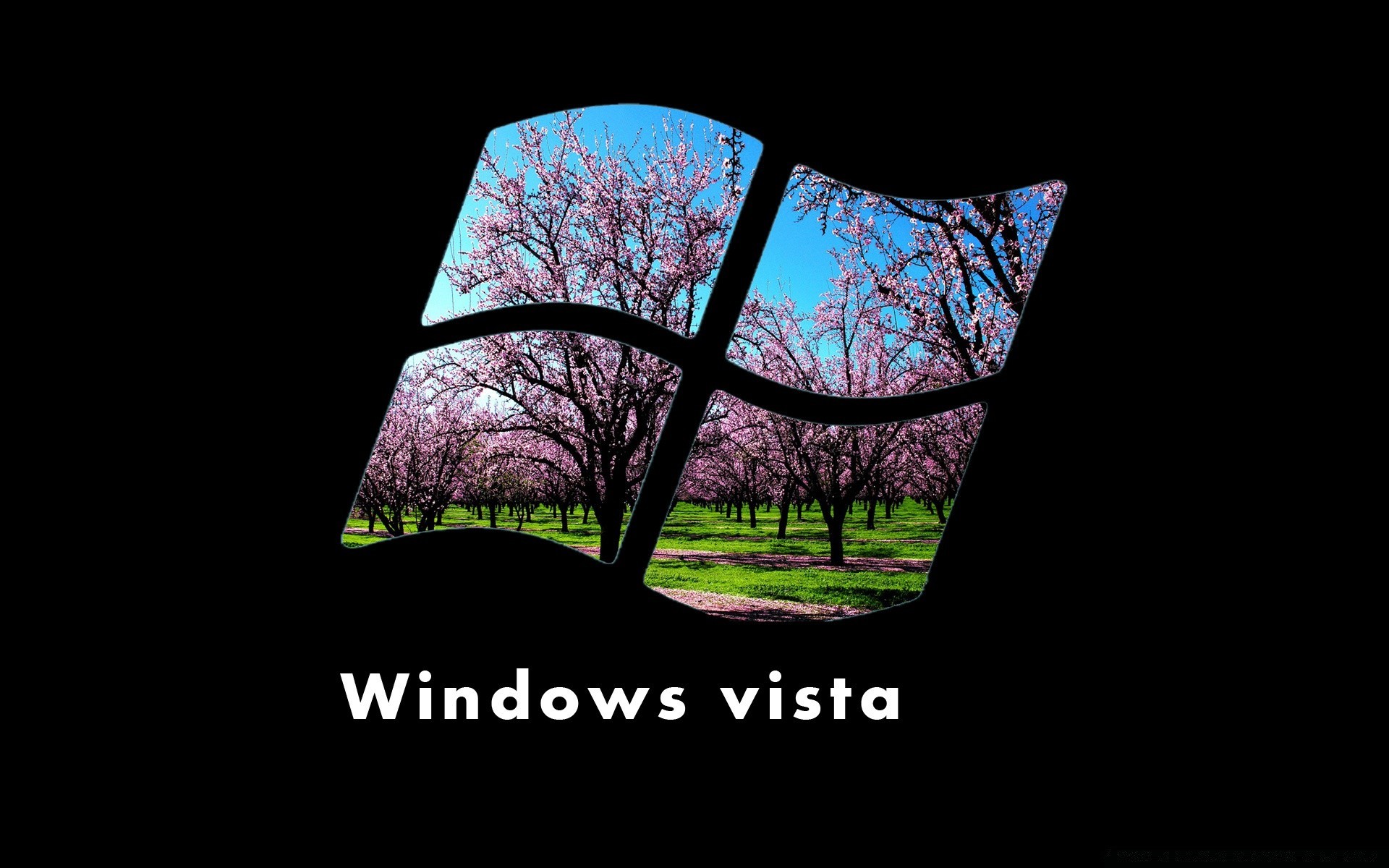 windows im freien natur