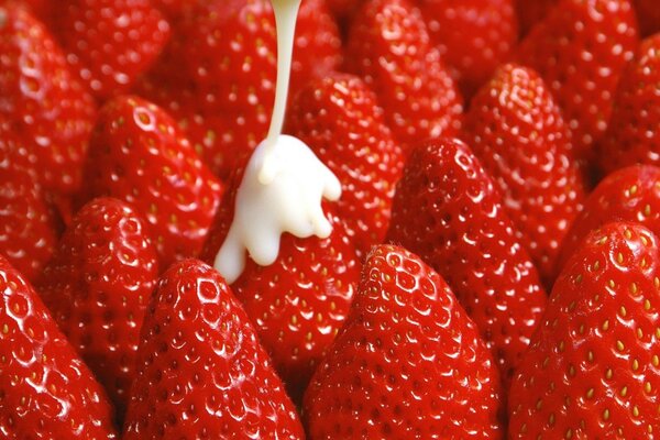 Strawberries and cream are insanely delicious