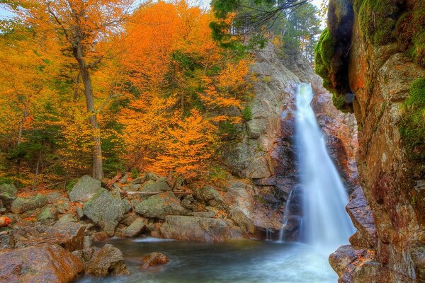 Cascada en hermosas montañas en otoño