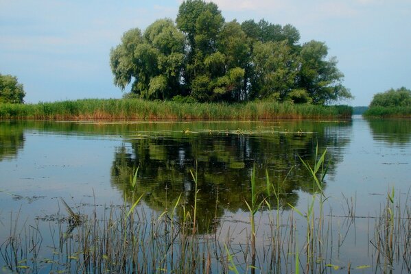 See. Grüne Insel im See. Ruhiger Hafen