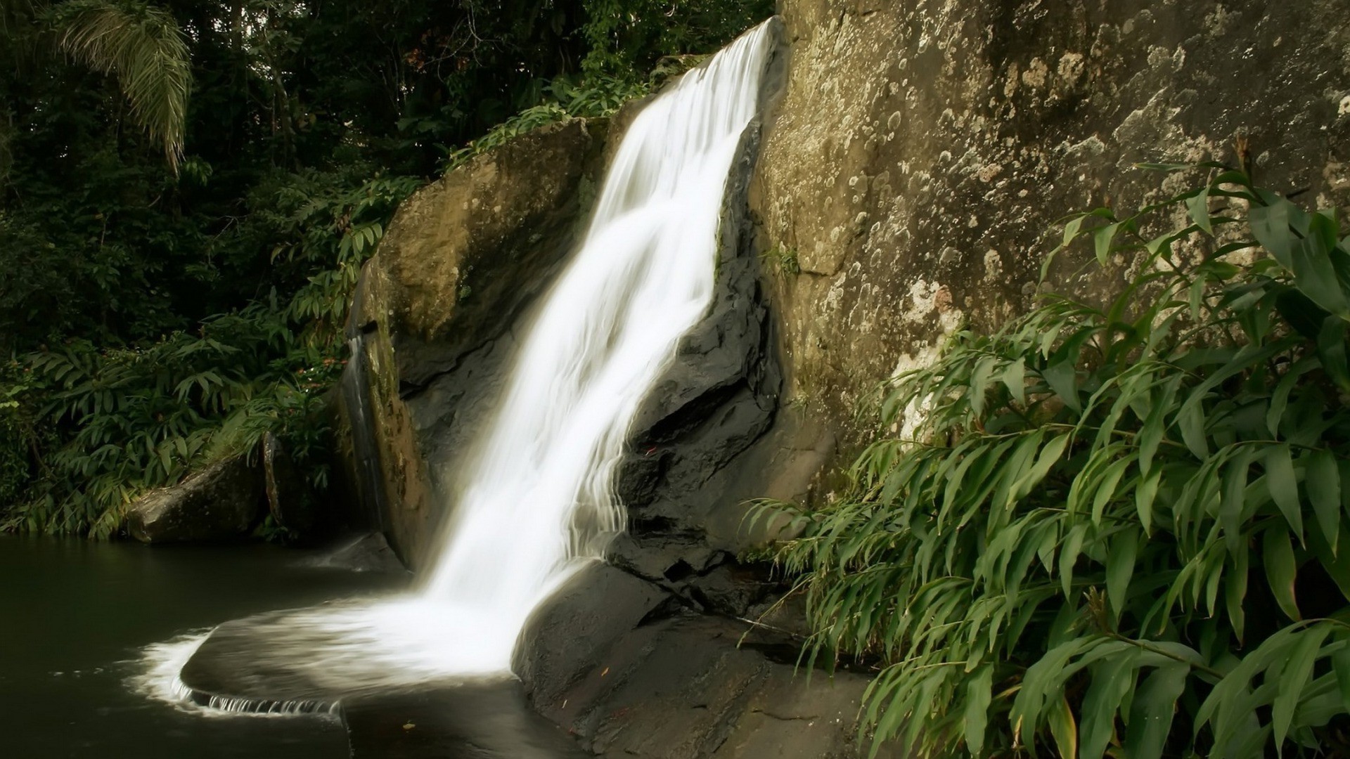 cascades cascade eau rivière bois nature ruisseau rock voyage paysage feuille à l extérieur cascade arbre mouvement automne montagne ruisseau ruisseau