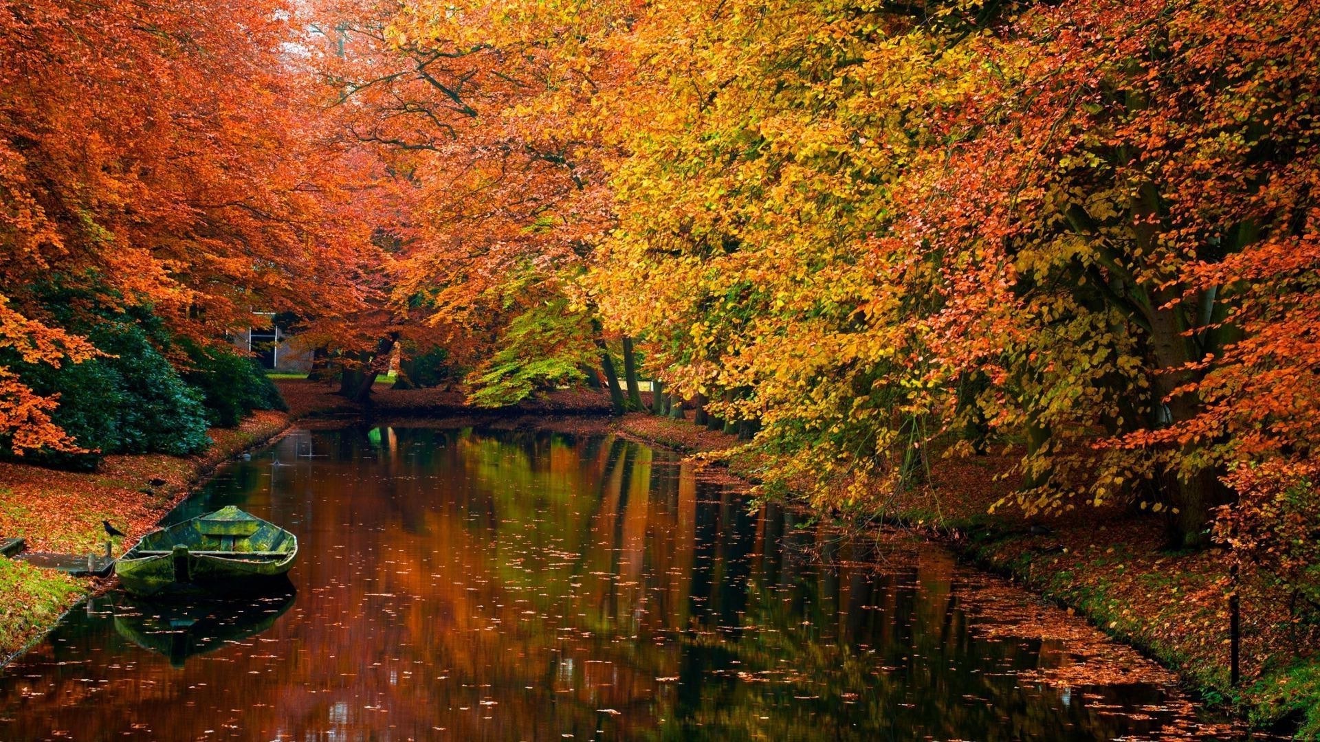 fiumi stagni e torrenti stagni e torrenti autunno foglia acqua all aperto albero legno fiume paesaggio natura viaggi lago acero