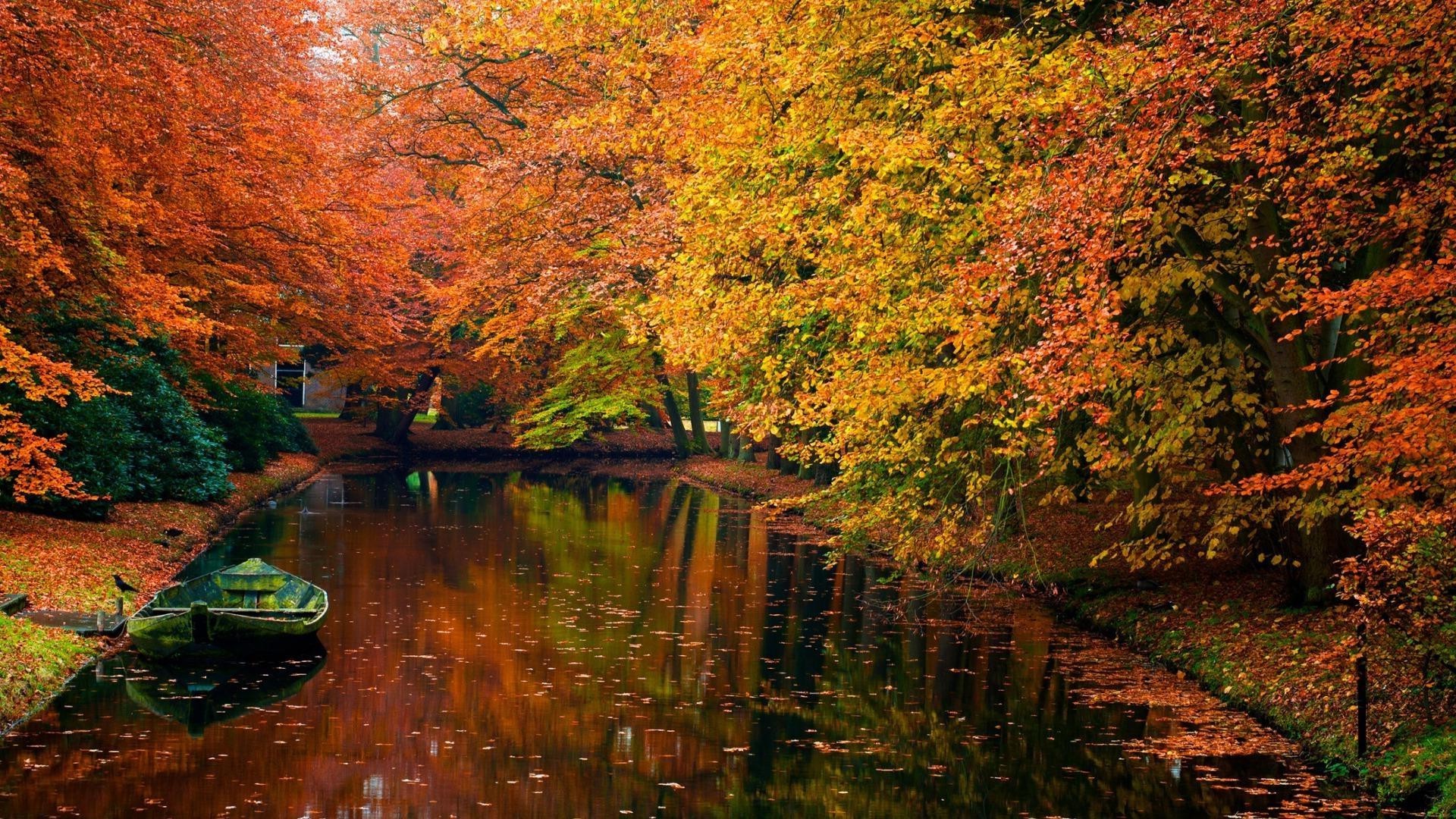 ríos estanques y arroyos estanques y arroyos otoño hoja agua al aire libre árbol madera río paisaje naturaleza viajes lago arce