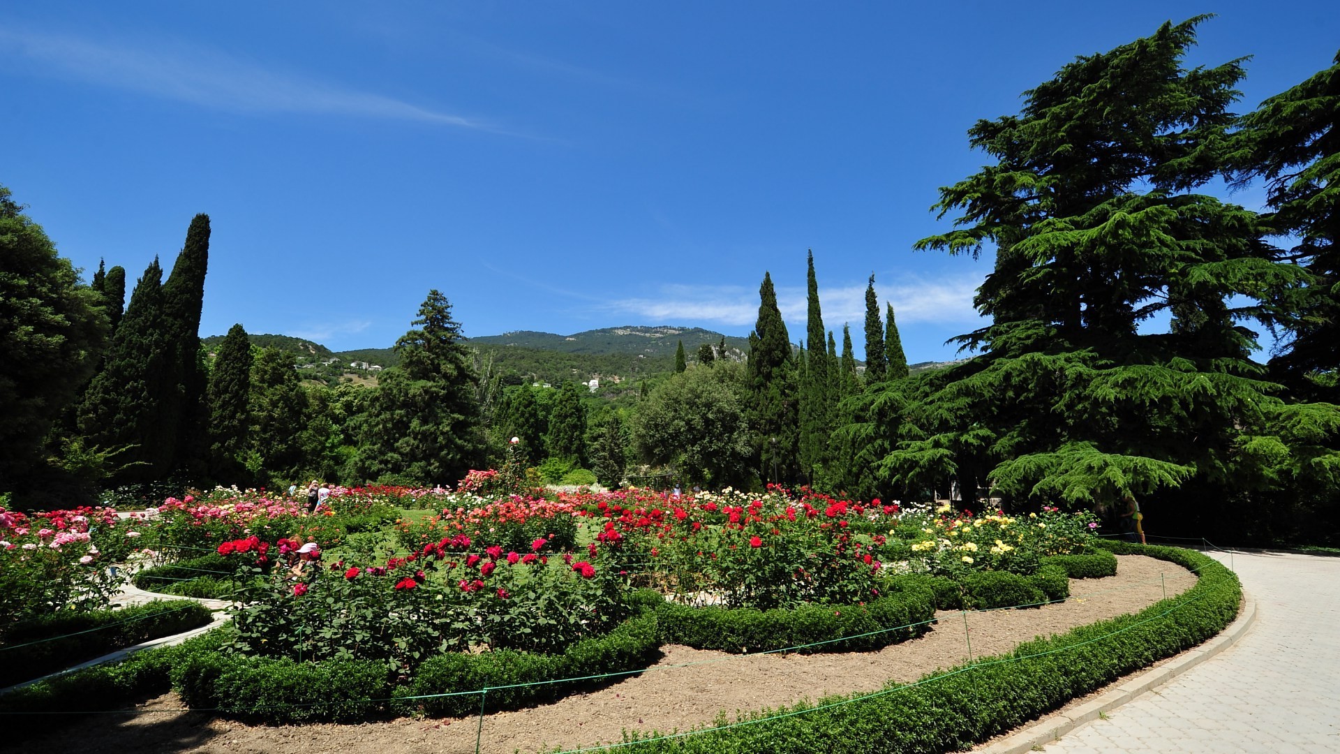 parks garden tree flower landscape outdoors travel daylight nature park summer