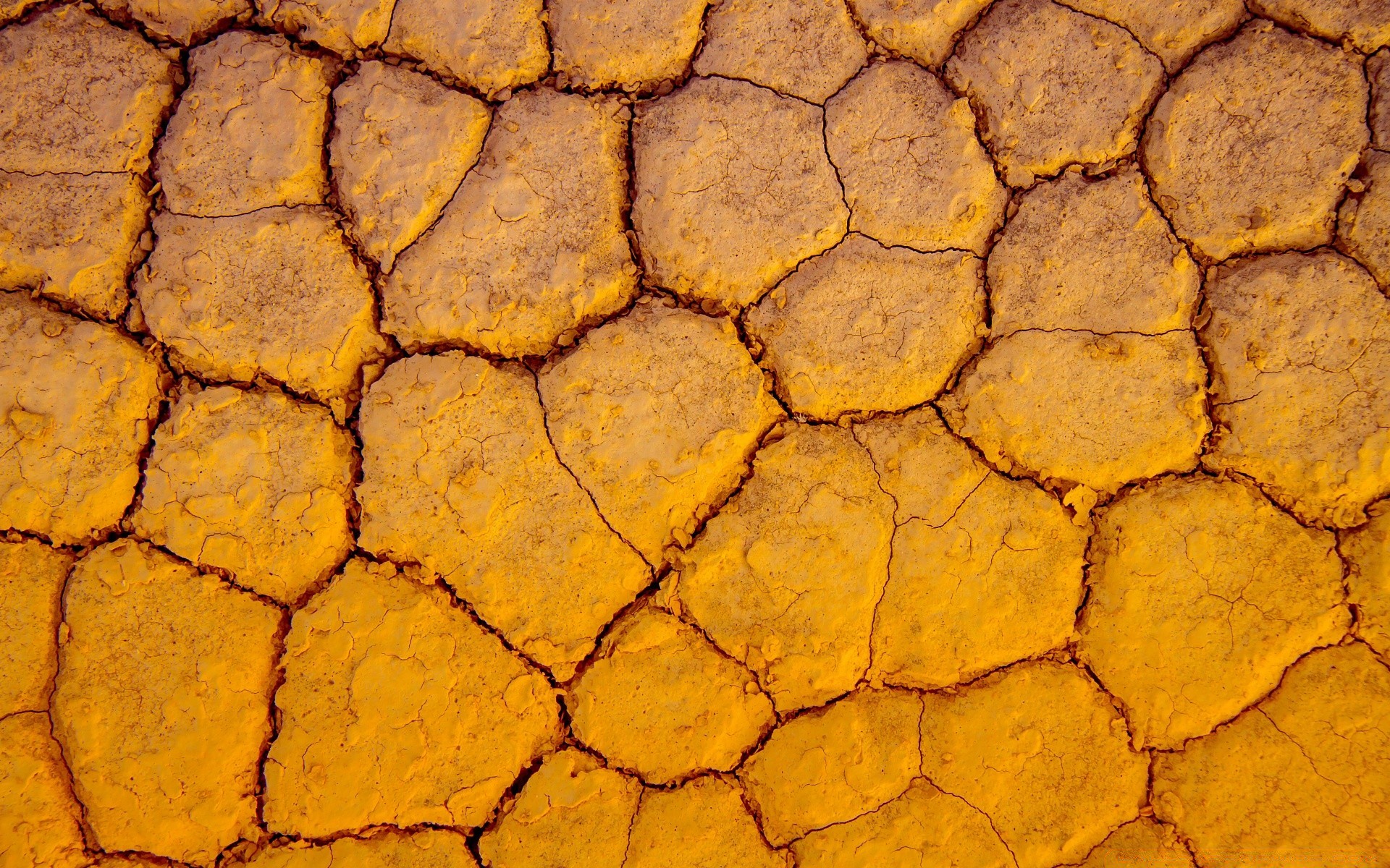 terra textura padrão área de trabalho superfície terra poeira seca seco arid áspero argila solo close-up natureza deserto lama fundo resumo ecologia sujo