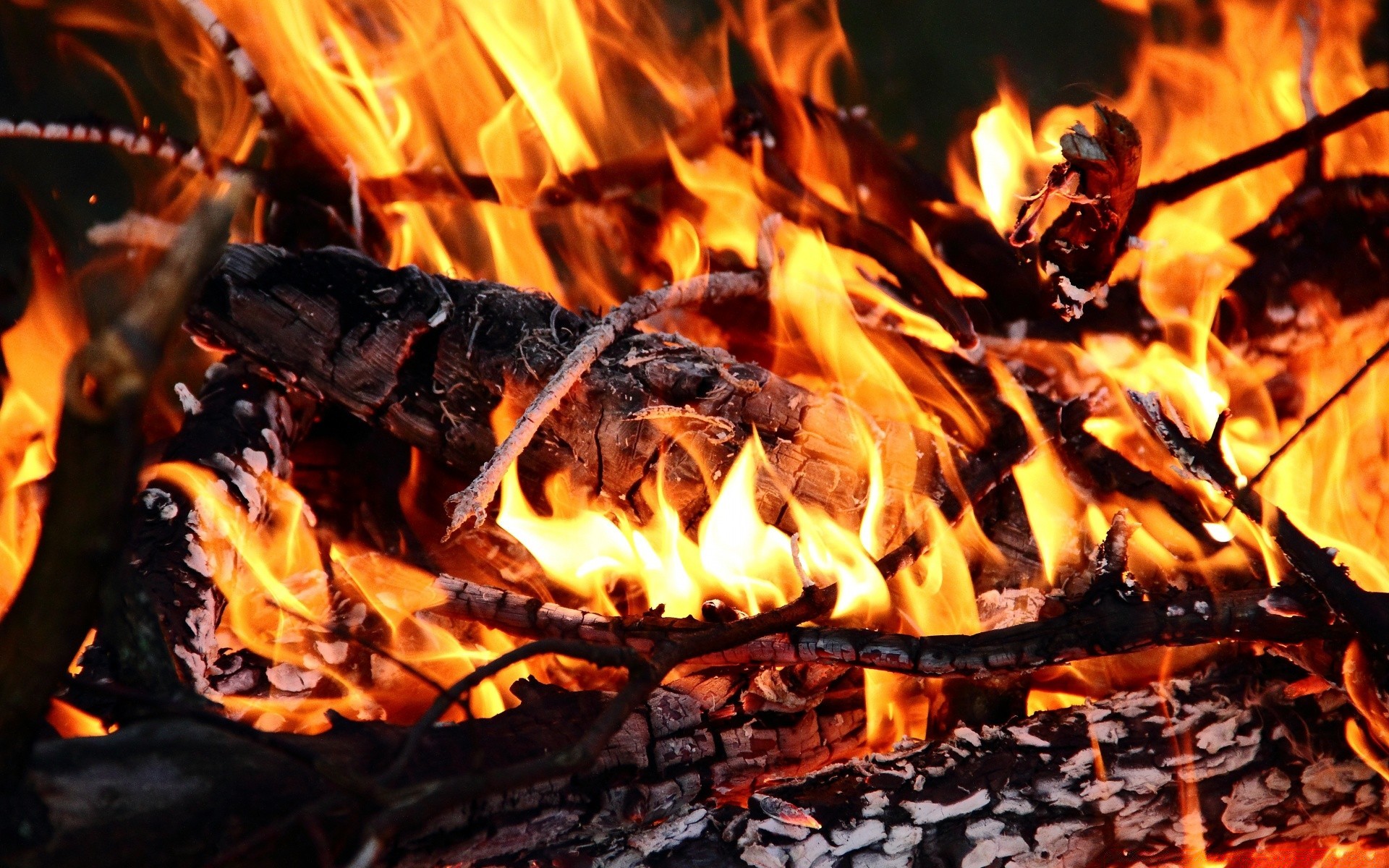 ogień płomień kominek ognisko ognisko drewno węgiel ciepło spalić węgiel gorący inferno popiół ciepło blaze dym obóz paliwo zapalić łatwopalny ogień