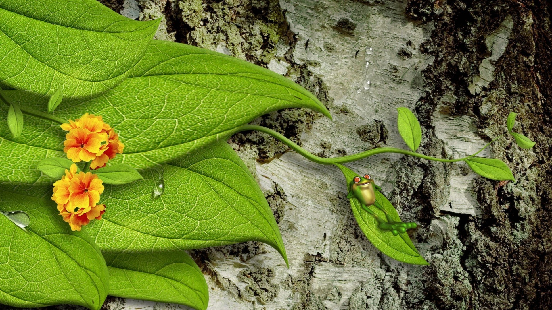 animaux feuille nature fleur flore été jardin couleur gros plan à l extérieur croissance environnement