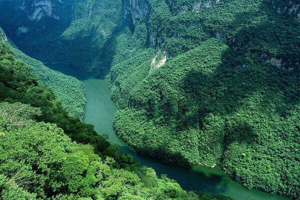 Mesmerizing beauty of the green hills and the river