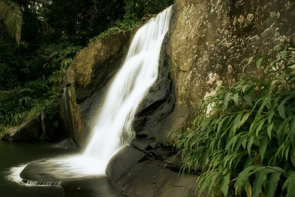 Wasserfall auf dem Hintergrund von Bergen und grünen Blättern