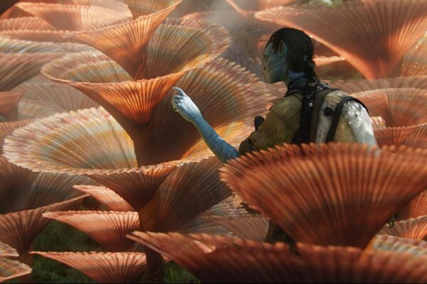 Plantes musicales fabuleuses du film Avatar»